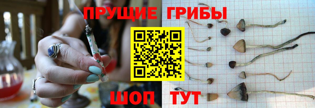Псилоцибиновые грибы GOLDEN TEACHER Усолье-Сибирское